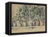 Les pots de fleurs-Paul Cézanne-Framed Stretched Canvas