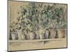 Les pots de fleurs-Paul Cézanne-Mounted Giclee Print