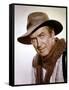 Les prairies a l honneur SHENANDOAH, 1965 by AndrewVMcLaglen with James Stewart, 1965 (photo)-null-Framed Stretched Canvas