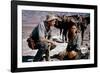 Les Professionnels THE PROFESSIONALS by Richard Brooks with Robert Ryan and Claudia Cardinale, 1966-null-Framed Photo