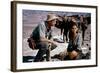 Les Professionnels THE PROFESSIONALS by Richard Brooks with Robert Ryan and Claudia Cardinale, 1966-null-Framed Photo