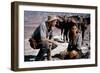 Les Professionnels THE PROFESSIONALS by Richard Brooks with Robert Ryan and Claudia Cardinale, 1966-null-Framed Photo