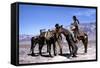 Les Professionnels THE PROFESSIONALS by Richard Brooks with Woody Strode, Robert Ryan and Claudia C-null-Framed Stretched Canvas