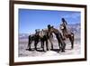 Les Professionnels THE PROFESSIONALS by Richard Brooks with Woody Strode, Robert Ryan and Claudia C-null-Framed Photo