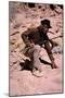 Les Professionnels THE PROFESSIONALS by Richard Brooks with Woody Stroder, 1966 (photo)-null-Mounted Photo