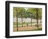 Les Promenade des Marronniers, St Cloud, 1878-Alfred Sisley-Framed Giclee Print