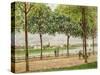 Les Promenade des Marronniers, St Cloud, 1878-Alfred Sisley-Stretched Canvas