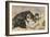 Les Quatre Chatons-Henriette Ronner Knip-Framed Giclee Print