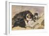 Les Quatre Chatons-Henriette Ronner Knip-Framed Giclee Print