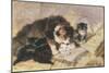 Les Quatre Chatons-Henriette Ronner Knip-Mounted Giclee Print