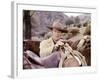 Les Quatre Fils by Katie Helder THE SONS OF KATIE HELDER by Henry Hathaway with John Wayne, 1965 (p-null-Framed Photo