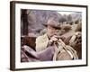 Les Quatre Fils by Katie Helder THE SONS OF KATIE HELDER by Henry Hathaway with John Wayne, 1965 (p-null-Framed Photo