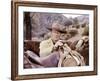 Les Quatre Fils by Katie Helder THE SONS OF KATIE HELDER by Henry Hathaway with John Wayne, 1965 (p-null-Framed Photo