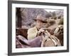 Les Quatre Fils by Katie Helder THE SONS OF KATIE HELDER by Henry Hathaway with John Wayne, 1965 (p-null-Framed Photo