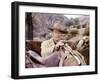 Les Quatre Fils by Katie Helder THE SONS OF KATIE HELDER by Henry Hathaway with John Wayne, 1965 (p-null-Framed Photo