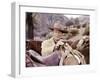 Les Quatre Fils by Katie Helder THE SONS OF KATIE HELDER by Henry Hathaway with John Wayne, 1965 (p-null-Framed Photo