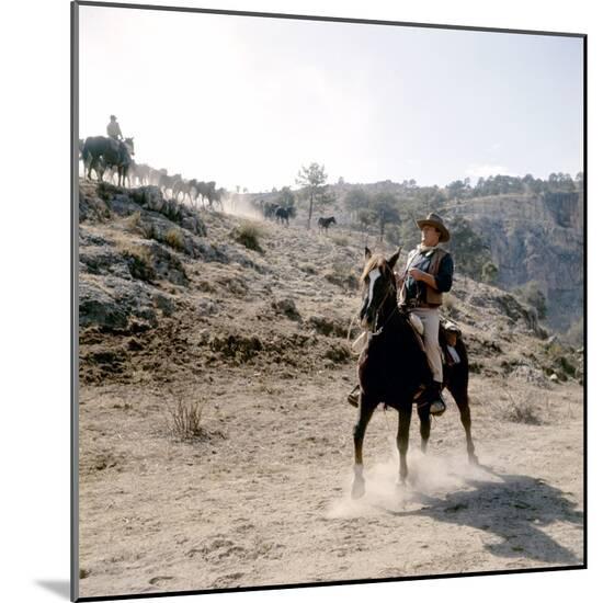 Photo, , large