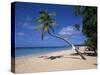 Les Salines Beach, Near Sainte Anne, Martinique, Lesser Antilles-Yadid Levy-Stretched Canvas