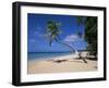 Les Salines Beach, Near Sainte Anne, Martinique, Lesser Antilles-Yadid Levy-Framed Photographic Print