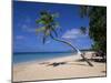 Les Salines Beach, Near Sainte Anne, Martinique, Lesser Antilles-Yadid Levy-Mounted Photographic Print