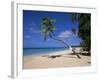 Les Salines Beach, Near Sainte Anne, Martinique, Lesser Antilles-Yadid Levy-Framed Photographic Print