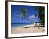 Les Salines Beach, Near Sainte Anne, Martinique, Lesser Antilles-Yadid Levy-Framed Photographic Print