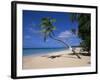 Les Salines Beach, Near Sainte Anne, Martinique, Lesser Antilles-Yadid Levy-Framed Photographic Print