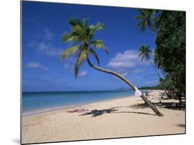 Les Salines Beach, Near Sainte Anne, Martinique, Lesser Antilles-Yadid Levy-Mounted Photographic Print