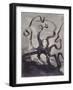 Les Travailleurs De La Mer: the Octopus-Fortuné-Louis Meaulle-Framed Giclee Print