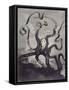 Les Travailleurs De La Mer: the Octopus-Fortuné-Louis Meaulle-Framed Stretched Canvas