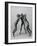 Les trois faunesses-Auguste Rodin-Framed Giclee Print