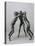Les trois faunesses-Auguste Rodin-Stretched Canvas