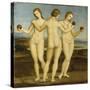 Les trois Grâces-Raffaello Sanzio-Stretched Canvas