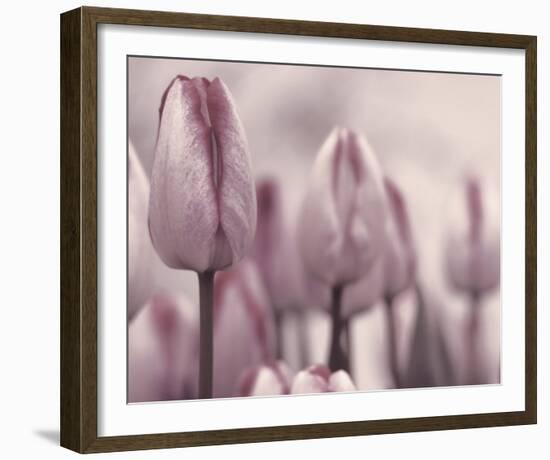 Les Tulipes I-Katja Marzahn-Framed Giclee Print