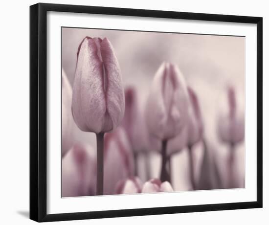 Les Tulipes I-Katja Marzahn-Framed Giclee Print