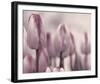 Les Tulipes I-Katja Marzahn-Framed Giclee Print