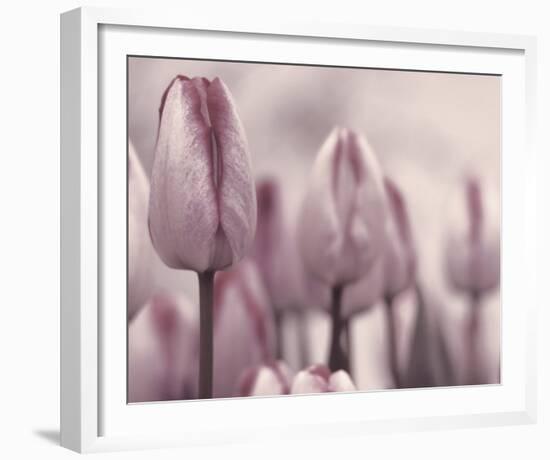 Les Tulipes I-Katja Marzahn-Framed Giclee Print