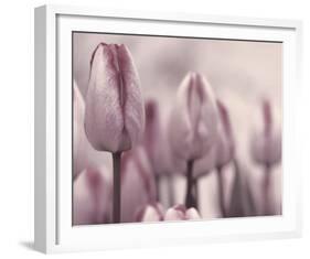 Les Tulipes I-Katja Marzahn-Framed Giclee Print