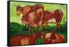 Les Vaches by Van Gogh-Vincent van Gogh-Framed Stretched Canvas