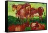 Les Vaches by Van Gogh-Vincent van Gogh-Framed Stretched Canvas