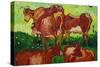 Les Vaches by Van Gogh-Vincent van Gogh-Stretched Canvas