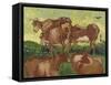 Les vaches, d'après Jacob Jordaens et Van Ryssel-Vincent van Gogh-Framed Stretched Canvas