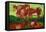 Les Vaches-Vincent van Gogh-Framed Stretched Canvas