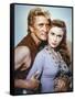 Les Vikings by Richard Fleischer with Kirk Douglas and Janet Leigh en, 1958 (photo)-null-Framed Stretched Canvas