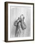 Les Voisine, Plate 9 from Les Toquades, 1858-Paul Gavarni-Framed Giclee Print