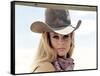 Les Voleurs by Trains THE TRAIN ROBBERS by BurtKennedy with Ann-Margret, 1973 (photo)-null-Framed Stretched Canvas