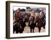 Les Voleurs by Trains THE TRAIN ROBBERS by BurtKennedy with Ben Johnson, Ann-Margret and John Wayne-null-Framed Photo