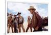 Les Voleurs by Trains THE TRAIN ROBBERS by BurtKennedy with Ben Johnson, Christopher George, Rod Ta-null-Framed Photo