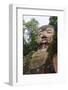 Leshan Giant Buddha, UNESCO World Heritage Site, Leshan, Sichuan Province, China, Asia-Michael Snell-Framed Photographic Print