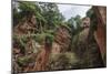 Leshan Giant Buddha, UNESCO World Heritage Site, Leshan, Sichuan Province, China, Asia-Michael Snell-Mounted Photographic Print